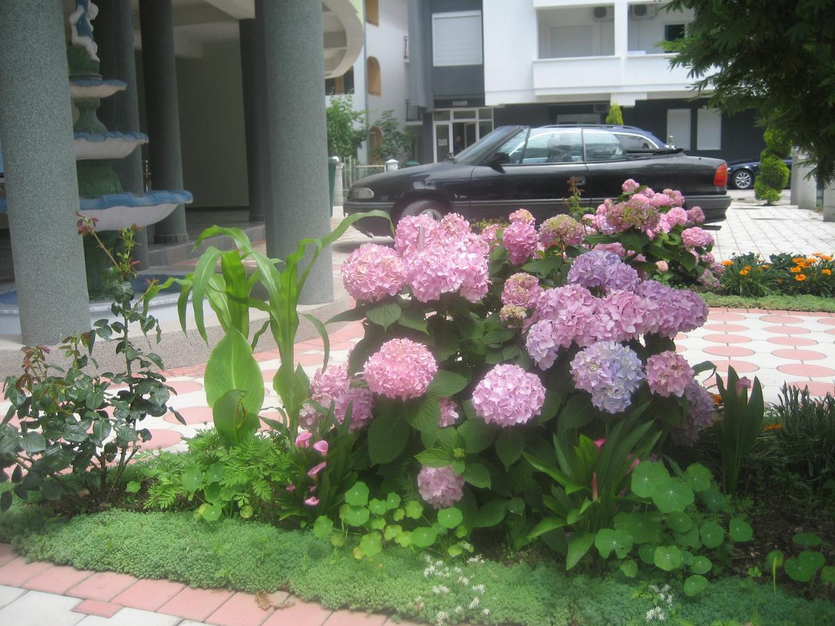 Guest House Vila Mimoza 乌尔齐尼 外观 照片