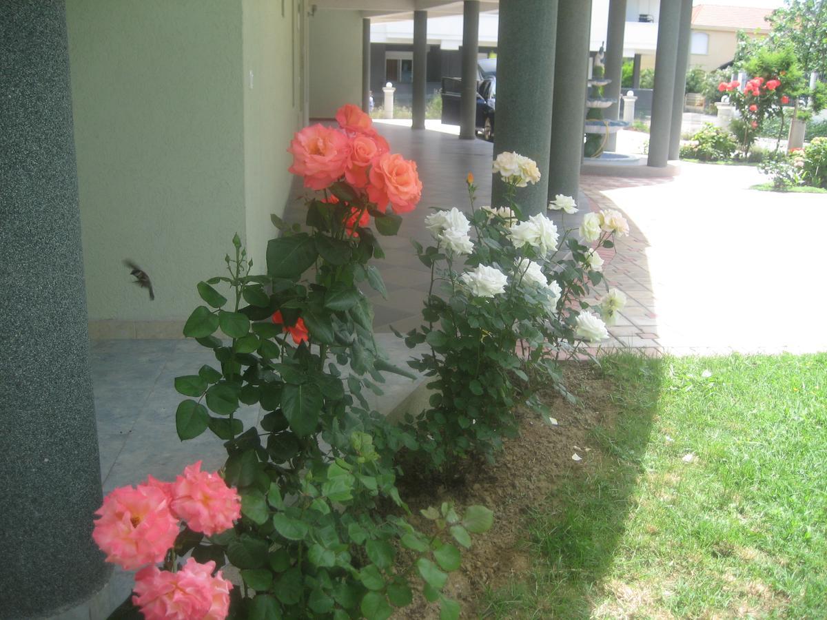 Guest House Vila Mimoza 乌尔齐尼 外观 照片