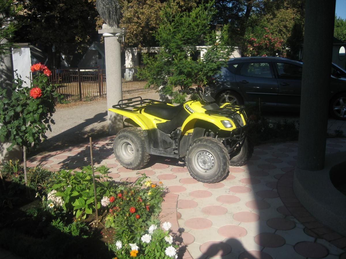 Guest House Vila Mimoza 乌尔齐尼 外观 照片