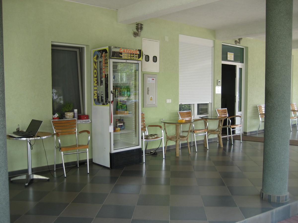 Guest House Vila Mimoza 乌尔齐尼 外观 照片