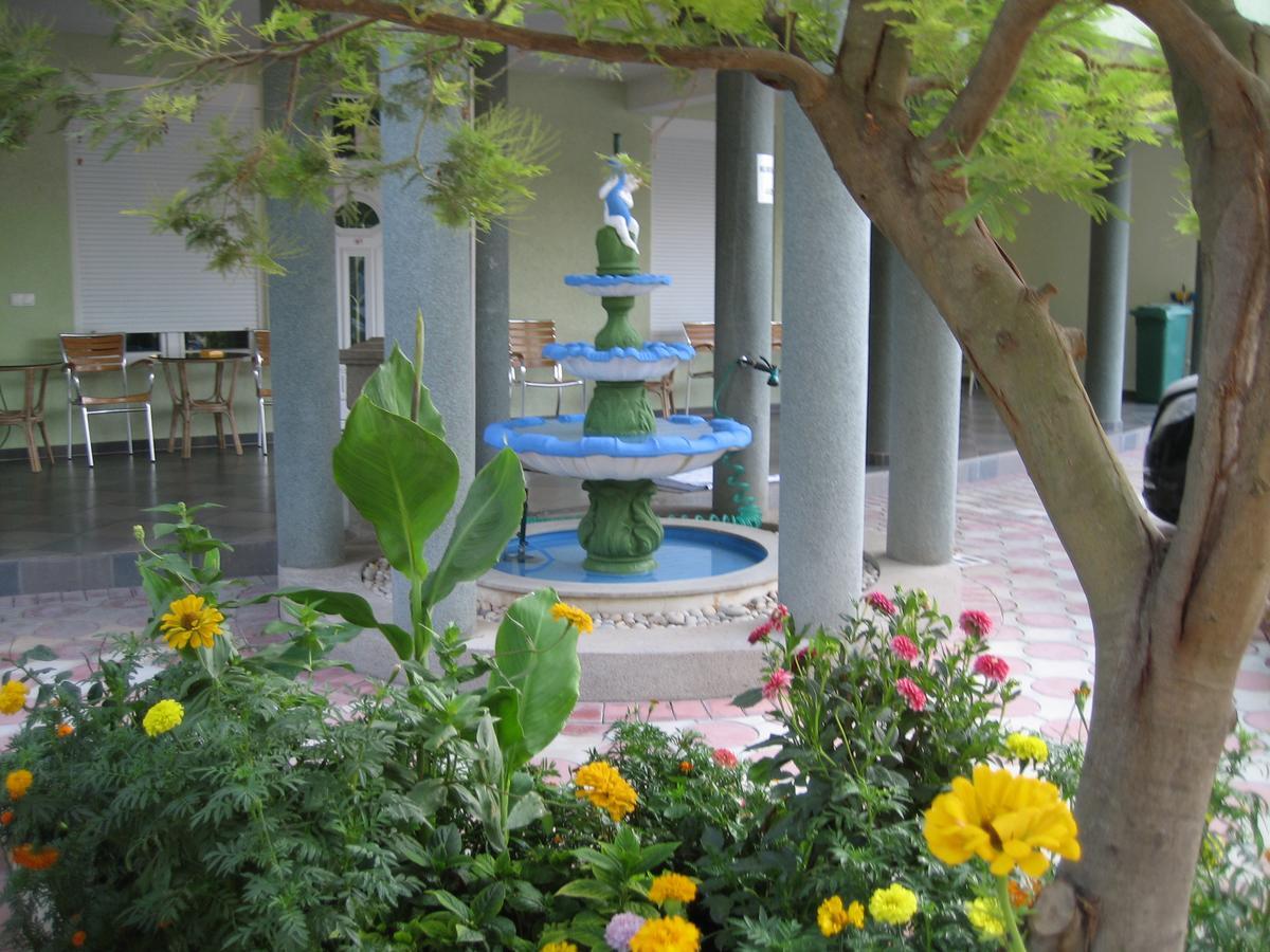 Guest House Vila Mimoza 乌尔齐尼 外观 照片