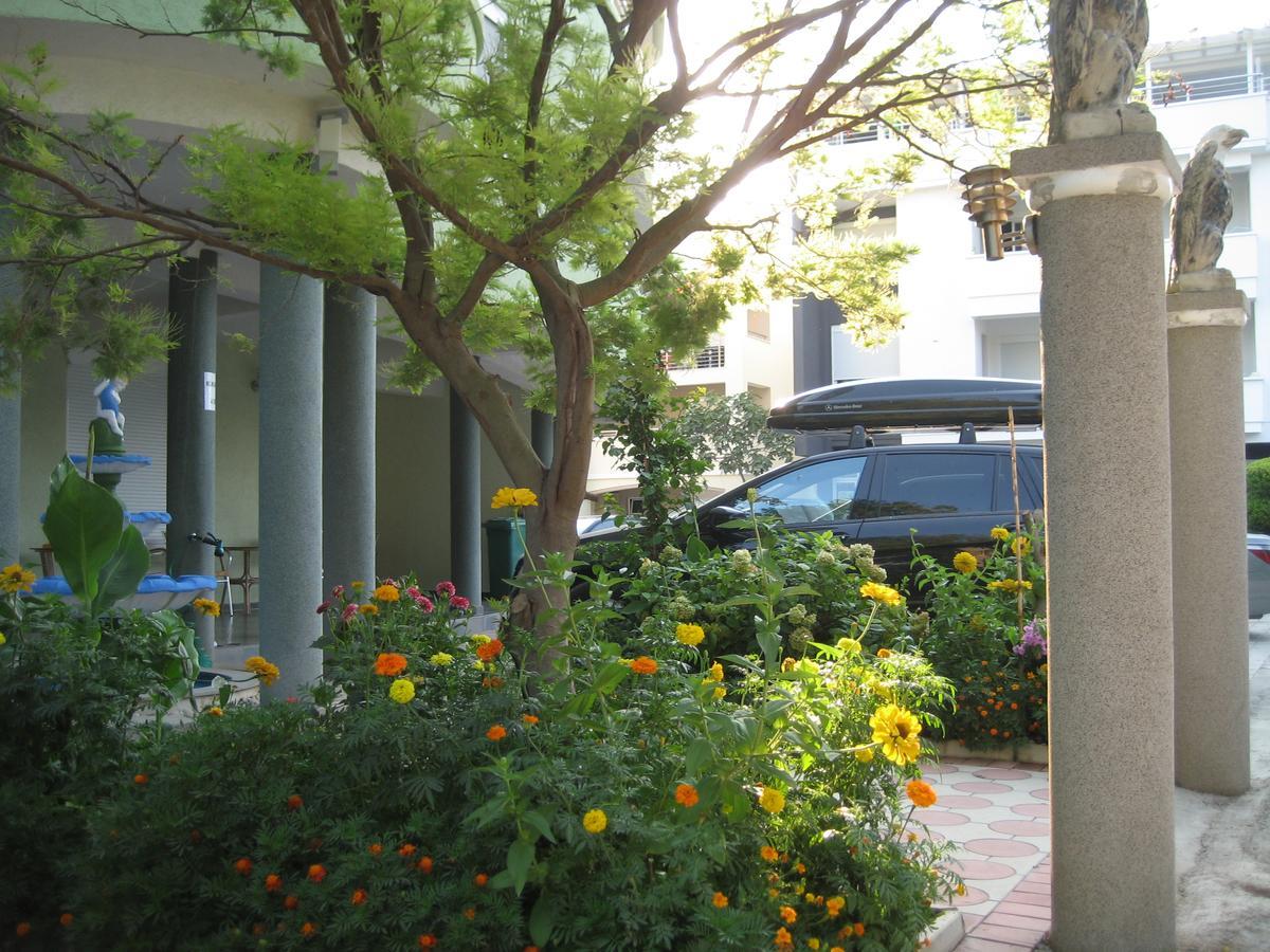 Guest House Vila Mimoza 乌尔齐尼 外观 照片
